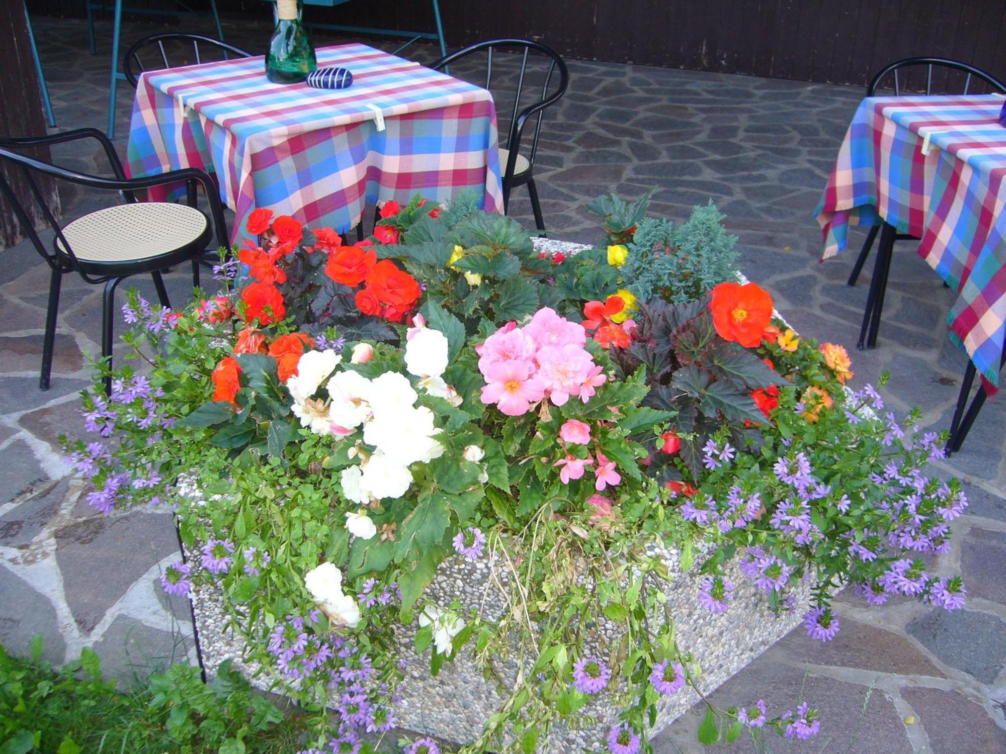 Hotel Gasthof Wastl Аппиано-Сулла-Страда-дель-Вино Экстерьер фото